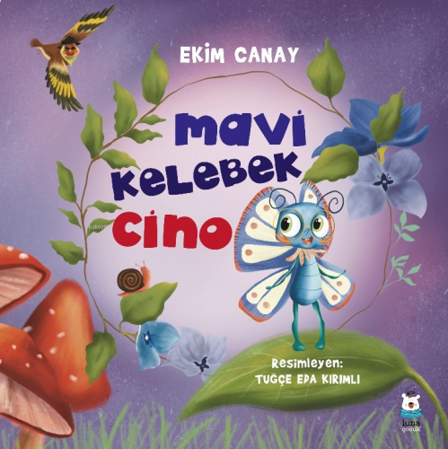 Mavi Kelebek Cino