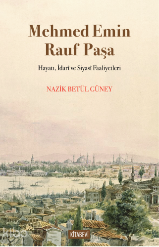 Mehmed Emin Rauf Paşa;Hayatı, İdarî ve Siyasî Faaliyetleri