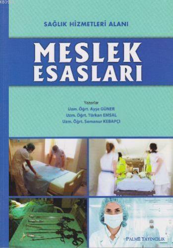 Meslek Esasları