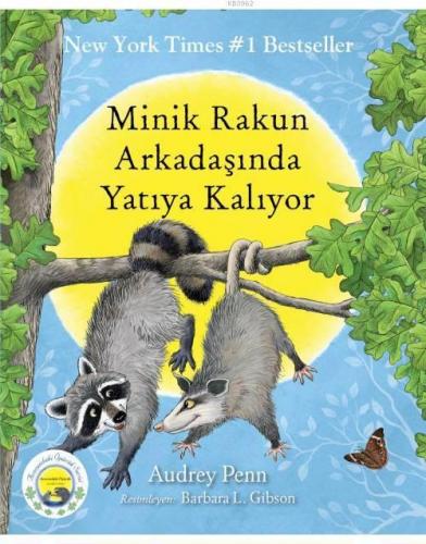 Minik Rakun Arkadaşında Yatıya Kalıyor