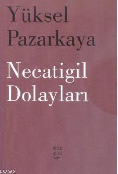 Necatigil Dolayları