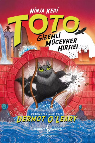 Ninja Kedi Toto – Gizemli Mücevher Hırsızı