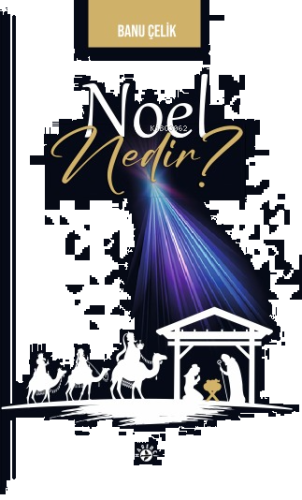 Noel Nedir?