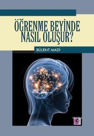 Öğrenme Beyinde Nasıl Oluşur?