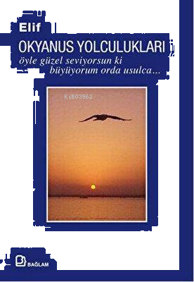 Okyanus Yolculukları