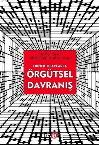 Örnek Olaylarla Örgütsel Davranış