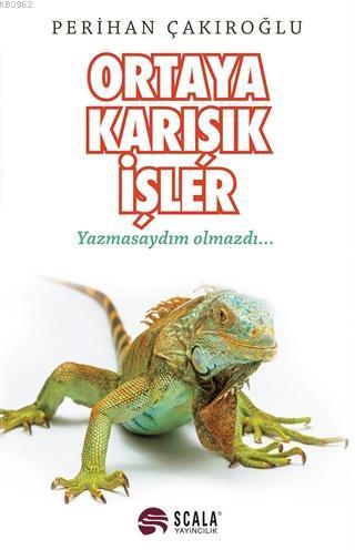 Ortaya Karışık İşler Yazmasaydım Olmazdı...