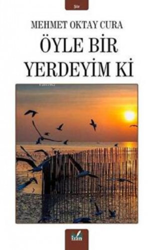 Öyle Bir Yerdeyim Ki