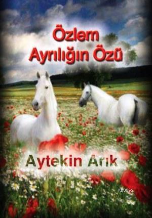 Özlem Ayrılığın Özü