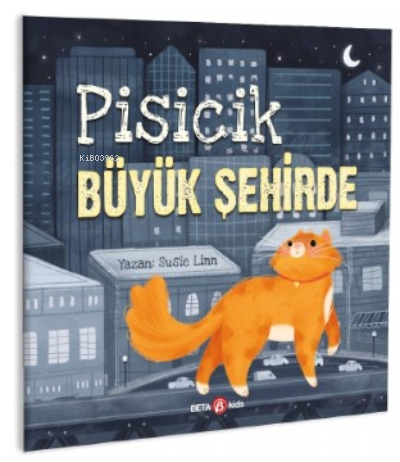 Pisicik Büyük Şehirde