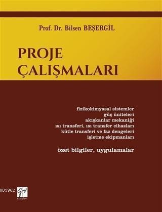 Proje Çalışmaları