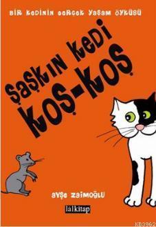 Şaşkın Kedi Koş - Koş