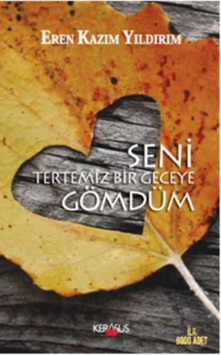 Seni Tertemiz Bir Geceye Gömdüm