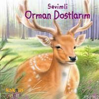 Sevimli Orman Dostlarım (0-5 Yaş)