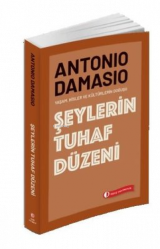 Şeylerin Tuhaf Düzeni