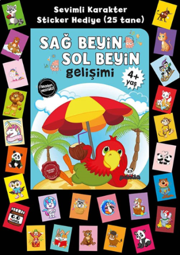 Stickerlı 4+ Yaş Sağ Beyin Sol Beyin Gelişimi