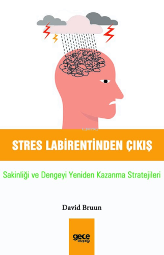 Stres Labirentinden Çıkış;Sakinliği ve Dengeyi Yeniden Kazanma Stratej