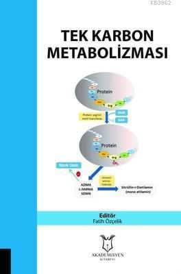 Tek Karbon Metobolizması