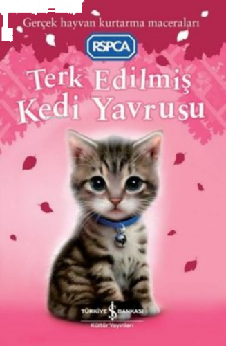 Terk Edilmiş Kedi Yavrusu