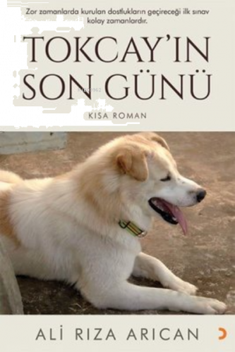 Tokcay'ın Son Günü