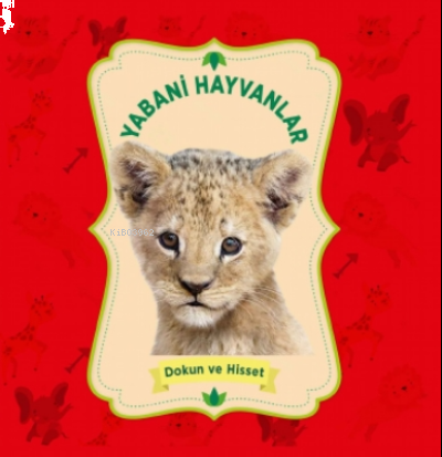 Yabani Hayvanlar – Dokun Ve Hisset