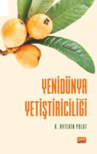 Yenidünya Yetiştiriciliği