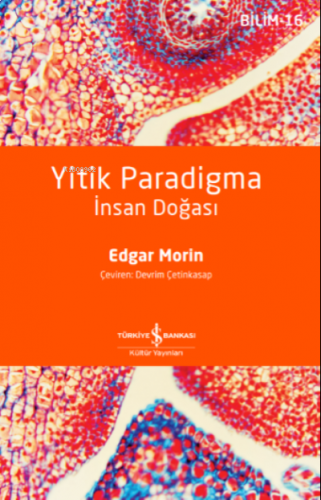 Yitik Paradigma – İnsan Doğasi