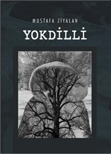 Yokdilli