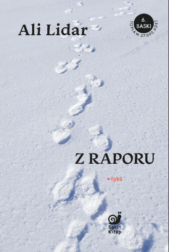 Z Raporu